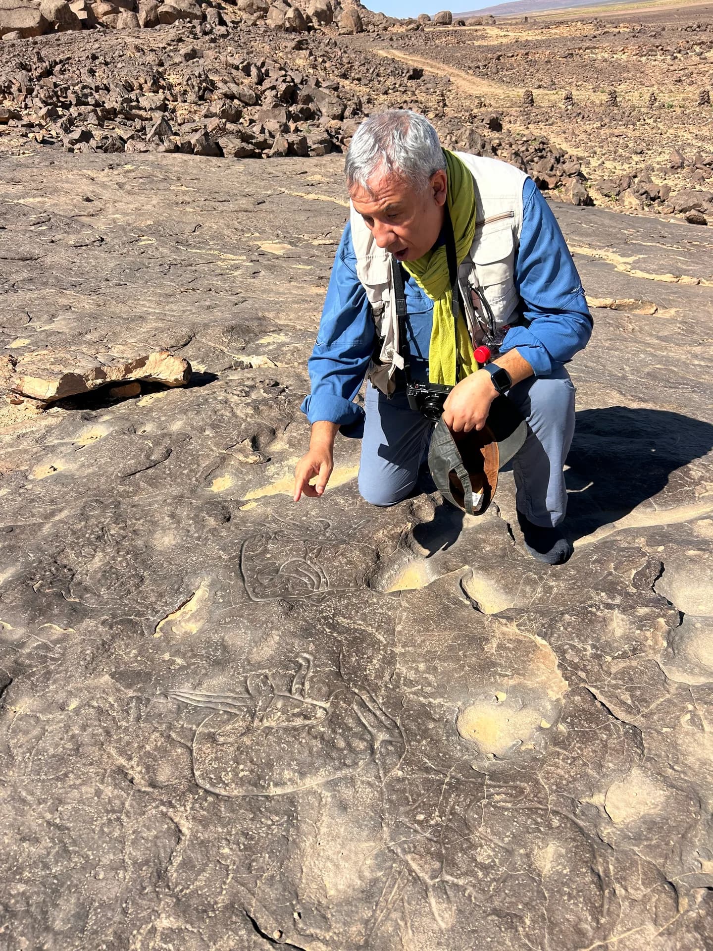 Observer les traces gravées dans la roche