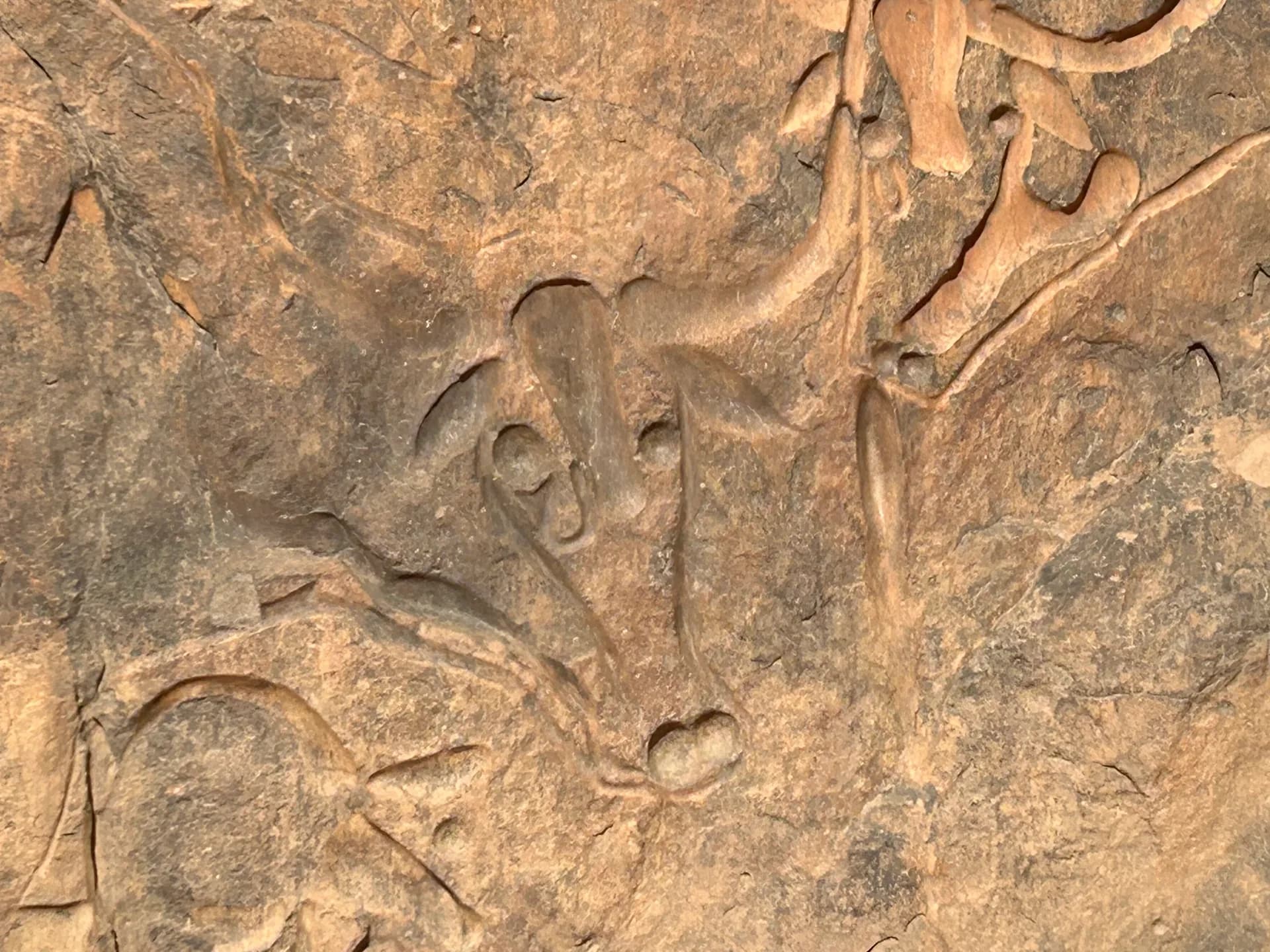 Des formes gravées à la surface de la pierre